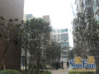 时代花城三期3室2厅1卫西南朝向1720.00元/月出租