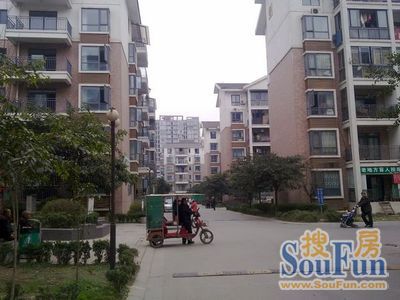 东林小区1室1厅1卫东南朝向1700.00元/月出租