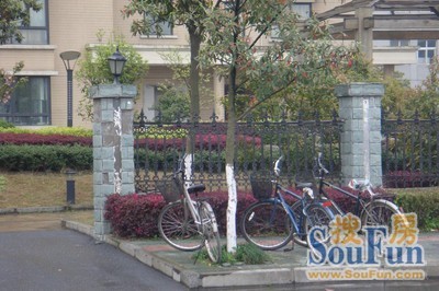 整租·香槟之约 1室1厅 南