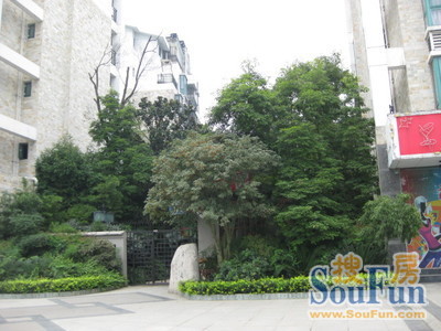 郫县滨河花园3室1厅2卫东南朝向1800.00元/月出租