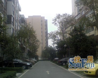 时代花城三期3室2厅1卫西南朝向1650.00元/月出租