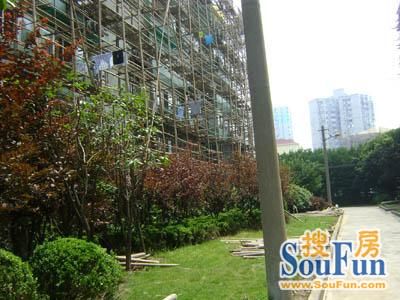 古楼六村外景图