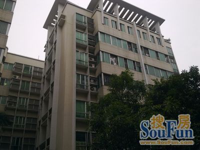整租·彩虹新村 3室1厅 南/北