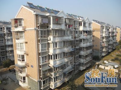 龙池花园2室1厅1卫东朝向600.00元/月出租
