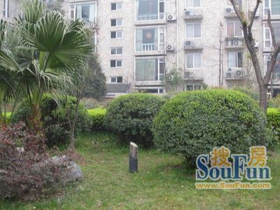 清漪苑2室2厅1卫南朝向1800.00元/月出租