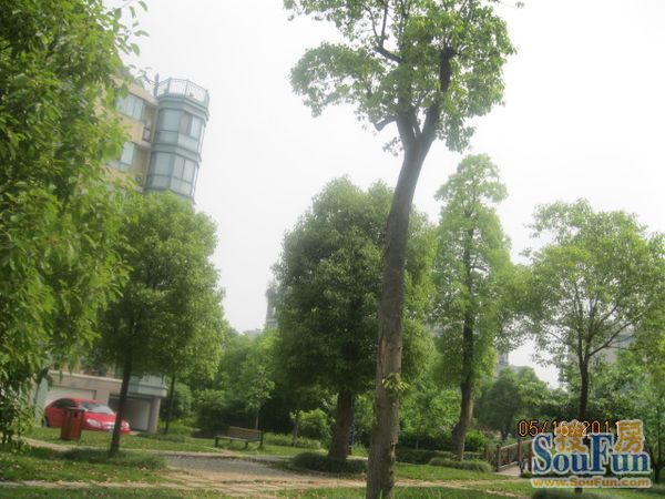 华城格之林花园实景图