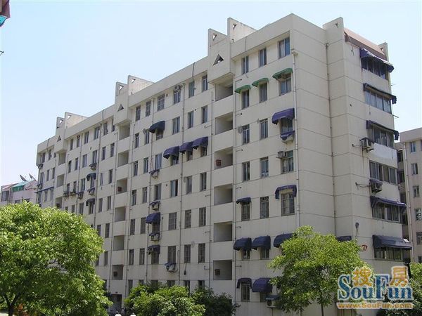 高教新村2室1厅1卫南朝向3100.00元/月出租