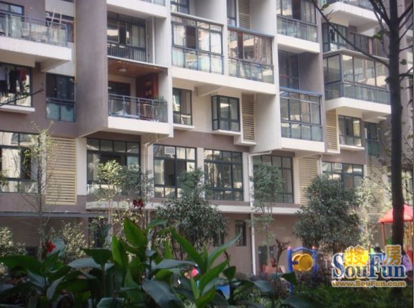 江安河畔3室1厅2卫东南朝向2200.00元/月出租