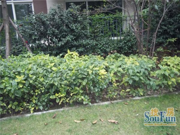 泰和佳园2室2厅1卫东南朝向3300.00元/月出租