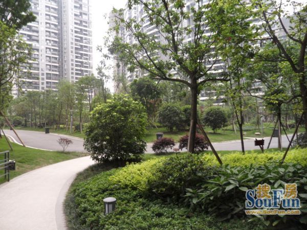 华都美林湾2室1厅1卫东南朝向3000.00元/月出租