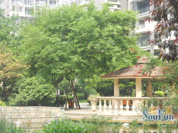 成信家园2室2厅1卫南朝向1650.00元/月出租