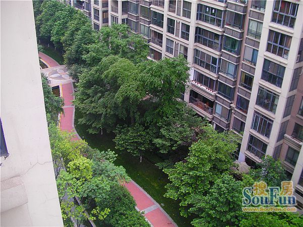 维多利亚公寓3室2厅2卫东西朝向4650.00元/月出租