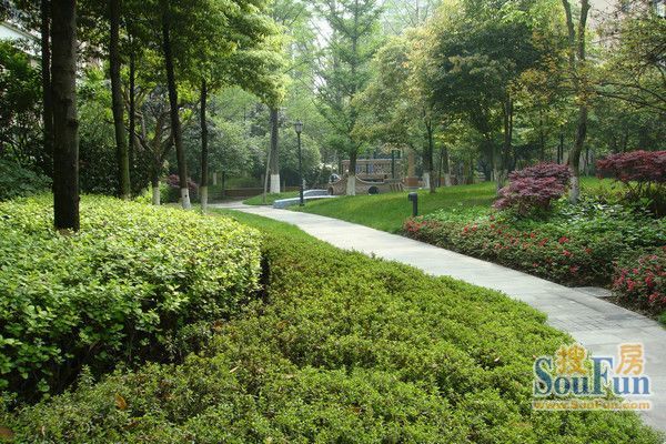 中海国际社区碧林3室2厅2卫东南朝向3900.00元/月出租