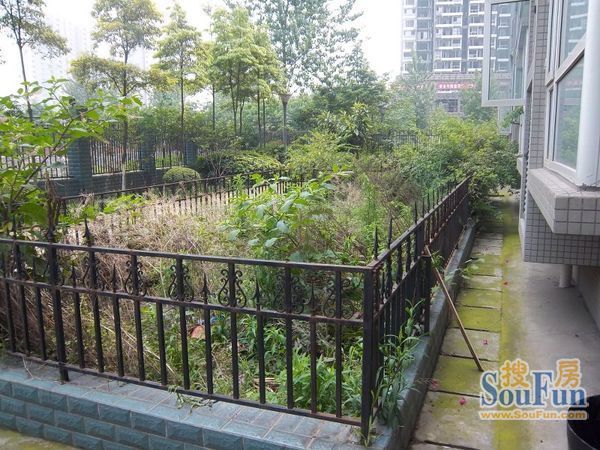 桂香居4室2厅2卫南朝向3500.00元/月出租