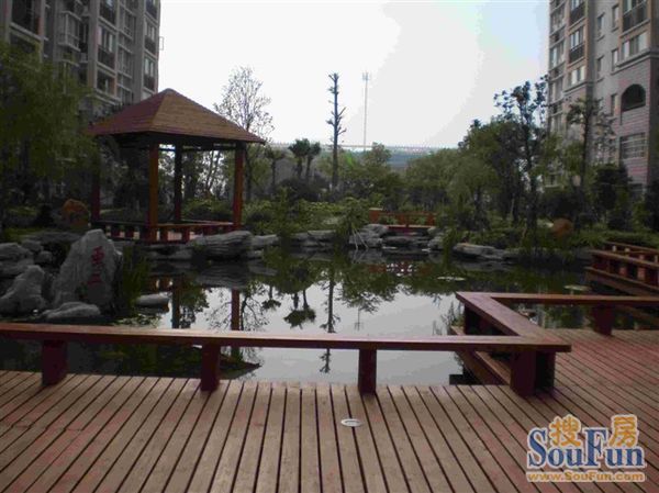 景江雅苑2室2厅1卫南朝向1900.00元/月出租