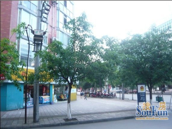恒兴苑3室2厅2卫东南朝向1500.00元/月出租
