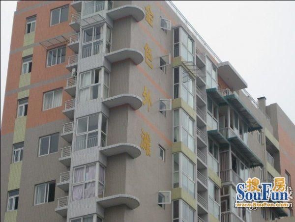 整租·金色外滩 1室1厅 东南