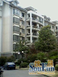 二十埠恢复楼2室1厅1卫南朝向600.00元/月出租