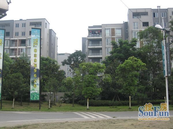 香洲半岛3室2厅2卫东南朝向1600.00元/月出租