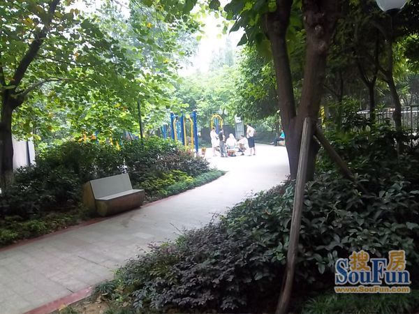 千居朝阳2室1厅1卫西南朝向2600.00元/月出租