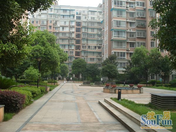 新锐湘都2室2厅1卫南朝向2300.00元/月出租