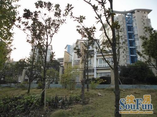 沁园春3室2厅1卫东朝向2800.00元/月出租