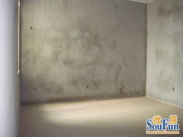 洪翔园3室2厅2卫南北朝向3600.00元/月出租