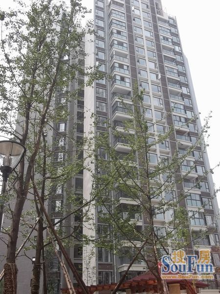 水畔经典3室2厅2卫东南朝向5000.00元/月出租