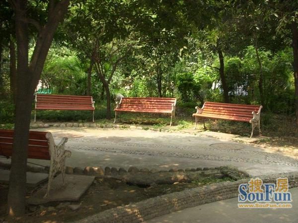 人民中路二段小区1室1厅1卫南朝向1400.00元/月出租