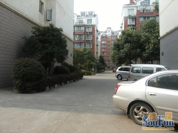 滨江美寓1室1厅1卫南朝向1500.00元/月出租