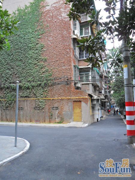 北桥新村2室1厅1卫南朝向1100.00元/月出租