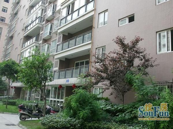 驿鑫乡卿城1室1厅1卫东南朝向2200.00元/月出租