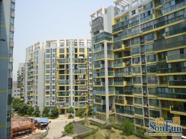 望兴景园3室2厅2卫南朝向2800.00元/月出租