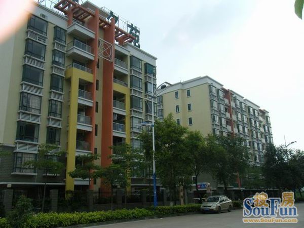 金沙澳锦名苑3室2厅2卫南朝向2000.00元/月出租