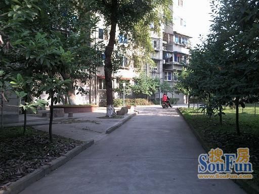 牛沙馨苑2室1厅1卫东南朝向1880.00元/月出租