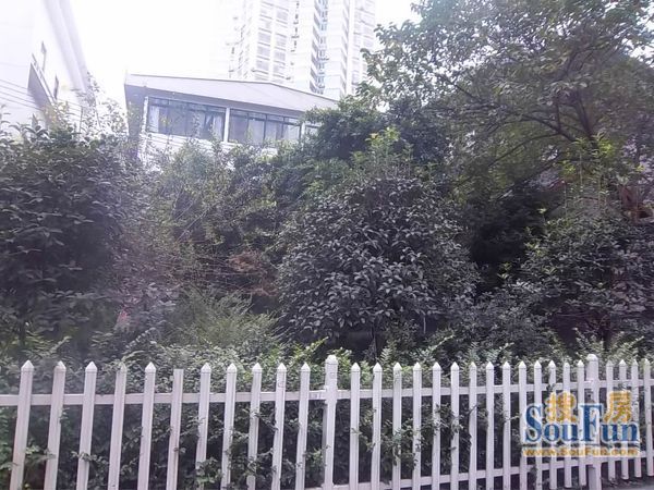 西巢小筑1室1厅1卫西南朝向1250.00元/月出租