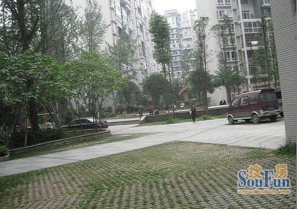 和融国际4室2厅2卫东朝向2500.00元/月出租