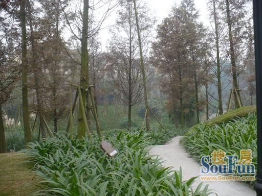 龙湖悠山郡一期4室3厅2卫东朝向22000.00元/月出租