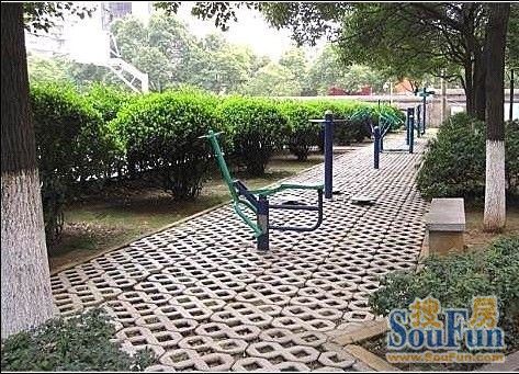 紫薇公寓2室2厅1卫南朝向2500.00元/月出租