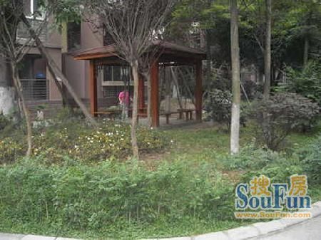 水岸花汀3室2厅2卫西北朝向1500.00元/月出租