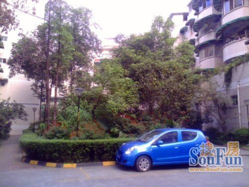 海棠金宇3室3厅2卫北朝向1800.00元/月出租