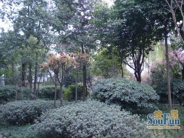 欣河苑2室1厅1卫南北朝向2100.00元/月出租