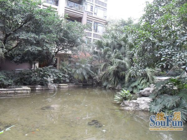 中海龙湾半岛3室2厅2卫南朝向3800.00元/月出租