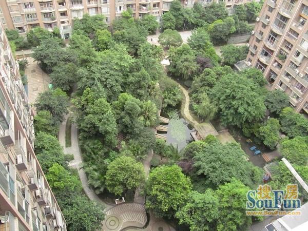 丽景华庭二期3室2厅2卫南朝向3800.00元/月出租