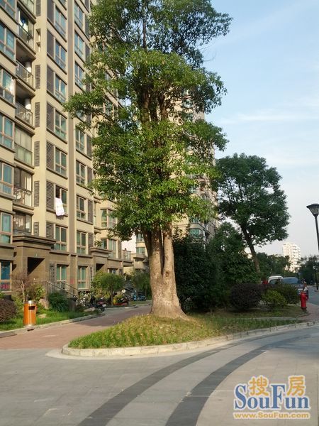 经纬城市绿洲二期2室2厅1卫南朝向5600.00元/月出租