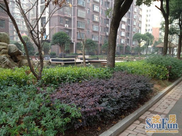 恒盛世家3室2厅2卫南朝向2300.00元/月出租