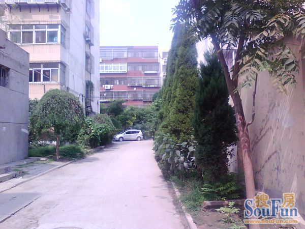 新河西楼3室1厅1卫东南北朝向900.00元/月出租