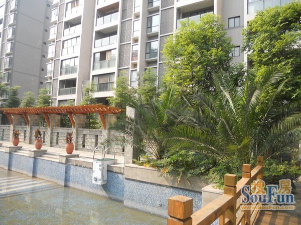 大华水映岛2室2厅1卫东朝向1600.00元/月出租