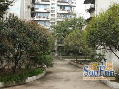 静康路536号院3室1厅2卫南朝向2400.00元/月出租