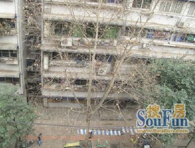 西马棚街38号院3室1厅1卫东南朝向2500.00元/月出租